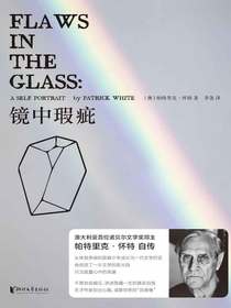 镜中瑕疵