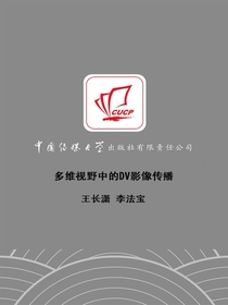 多维视野中的DV影像传播