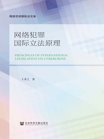 网络犯罪国际立法原理