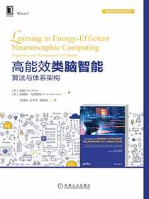 高能效类脑智能：算法与体系架构