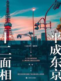 平成东京十二面相