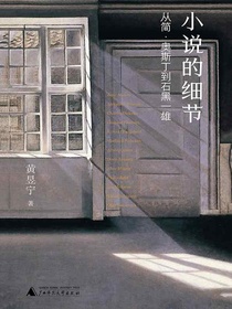 小说的细节：从简·奥斯丁到石黑一雄