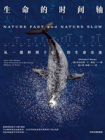 生命的时间轴