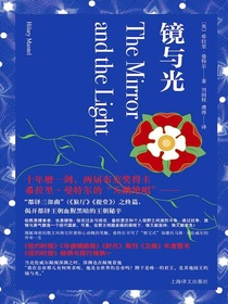 镜与光