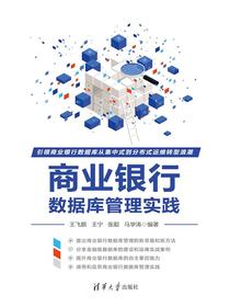 商业银行数据库管理实践