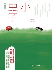 小虫子