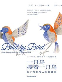 一只鸟接着一只鸟：关于写作与人生的建议