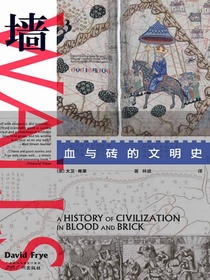 墙：血与砖的文明史
