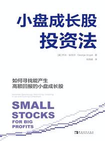 小盘成长股投资法