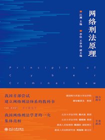 网络刑法原理