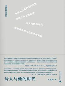 纯粹向度·诗人与他的时代（王家新作品系列）