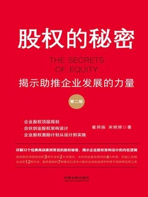 股权的秘密：揭示助推企业发展的力量（第二版）