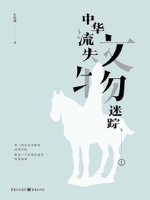 中华流失文物迷踪1