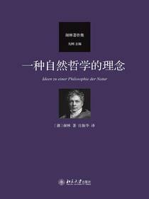 一种自然哲学的理念