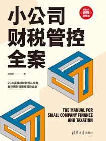 小公司财税管控全案