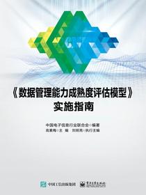 数据管理能力成熟度评估模型实施指南
