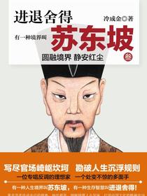 有一种境界叫苏东坡.3