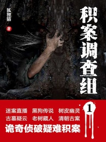 积案调查组1