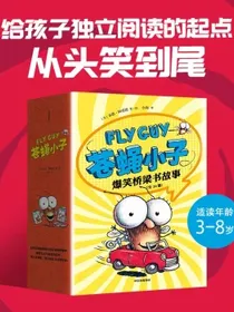 苍蝇小子爆笑桥梁书故事（全20册）