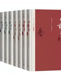 四大名著珍藏版套装（套装共8册人民文学出版社）