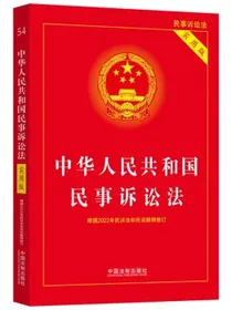 中华人民共和国民事诉讼法（实用版）（根据2022年民诉法和民诉解释修订)