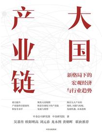 大国产业链