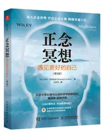 正念冥想：遇见更好的自己第3版