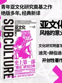 亚文化：风格的意义（朋克文化研究奠基之作，绝版多年，经典新译）