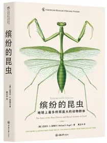 缤纷的昆虫