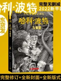 哈利·波特与密室