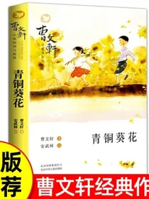 青铜葵花曹文轩儿童文学纯美小说阅读小学生课外阅读书目经典儿童文学名著【7-10岁】