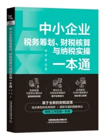 中小企业税务筹划、财税核算与纳税实操一本通