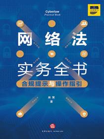 网络法实务全书：合规提示与操作指引