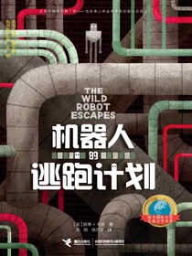 机器人的逃跑计划
