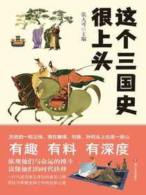 这个三国史很上头