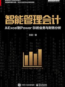 智能管理会计：从Excel到PowerBI的业务与财务分析（全彩）