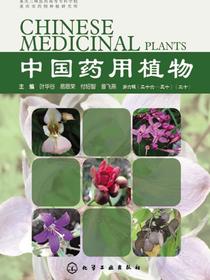 中国药用植物（三十）