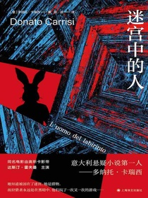 迷宫中的人