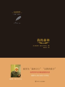 我的森林
