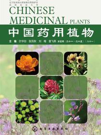 中国药用植物（二十一）