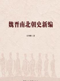 魏晋南北朝史新编