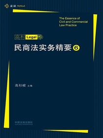 民商法实务精要6