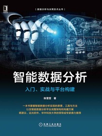 智能数据分析：入门、实战与平台构建