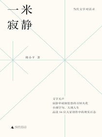 当代文学对话录：一米寂静