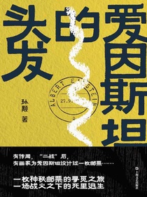 爱因斯坦的头发