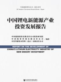 中国锂电新能源产业投资发展报告