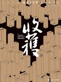 收获文学榜2022中短篇小说