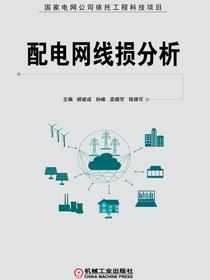 配电网线损分析