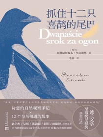 抓住十二只喜鹊的尾巴