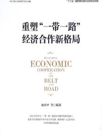 重塑“一带一路”经济合作新格局
